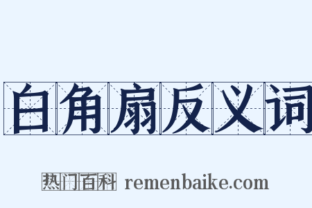 白角扇反义词是什么意思的图片